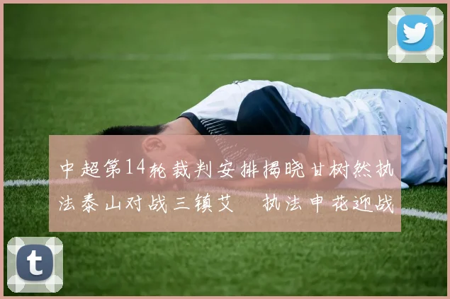 中超第14轮裁判安排揭晓甘树然执法泰山对战三镇艾堃执法申花迎战新鹏城